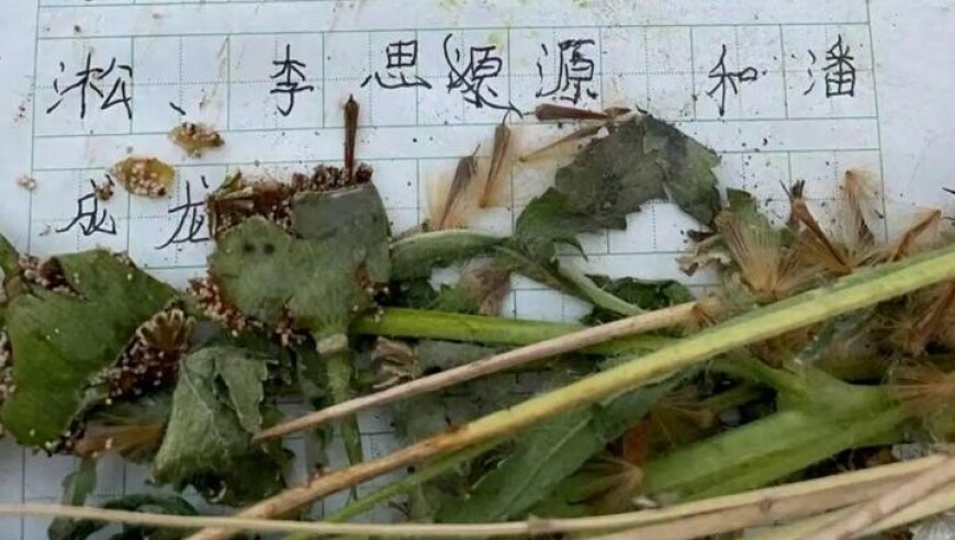 澳门一码一肖一特一中管家婆,曾志伟回应艺人收入大减,作答解释落实的民间信仰_扩展版V6.88